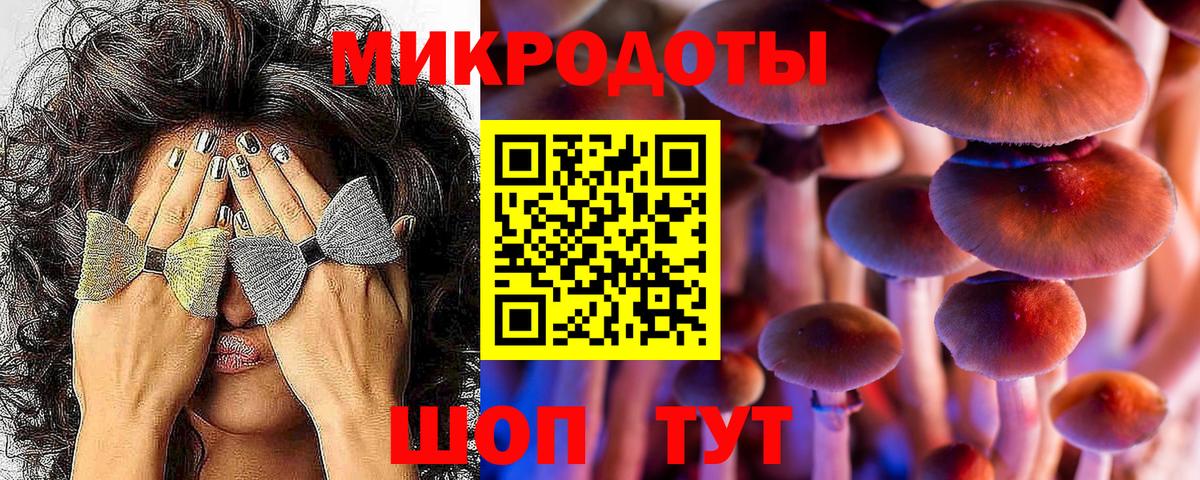 Бор  Галлюциногенные грибы Psilocybine cubensis  Вход с VPN  Галлюциногенные грибы GOLDEN TEACHER 